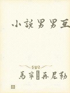 小说男男互攻h封面