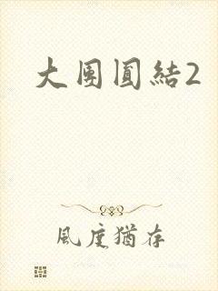 大团圆结2