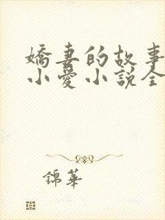 娇妻的故事吴勇小爱小说全文阅读