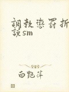 调教惩罚折磨小说sm