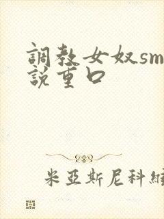 调教女奴sm小说重口封面