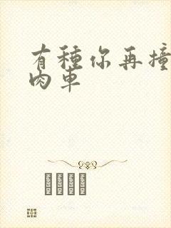 有种你再撞一下肉车