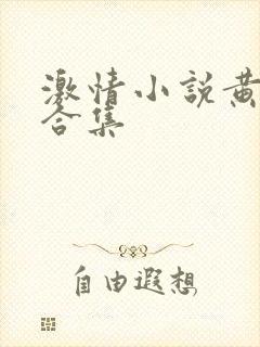 激情小说黄短篇合集