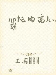 np纯肉高h小说