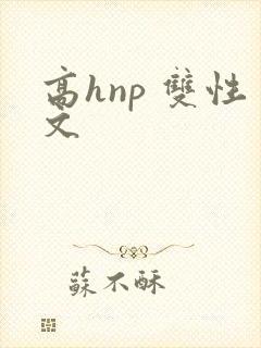 高hnp 双性文