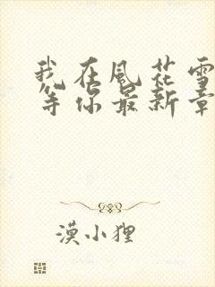 我在风花雪月里等你最新章节