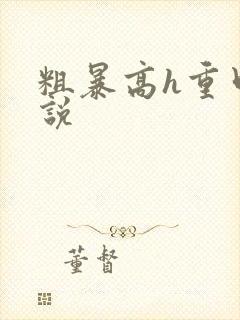 粗暴高h重口小说