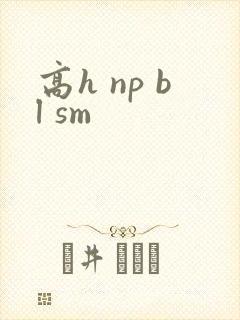 高h np bl sm