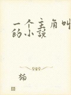 一个主角叫江晓的小说