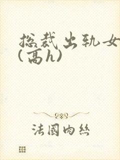 总裁出轨女秘书(高h)