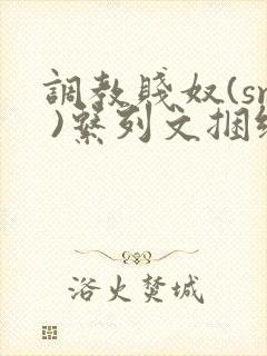 调教贱奴(sm )系列文捆绑