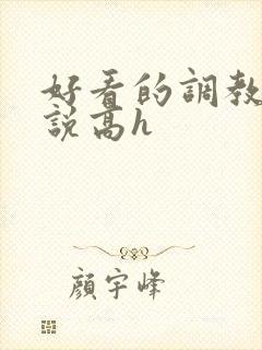 好看的调教文小说高h封面