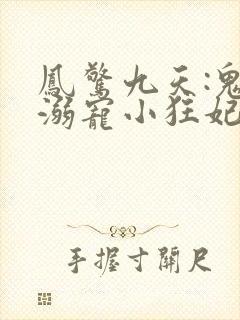 凤惊九天:鬼帝溺宠小狂妃