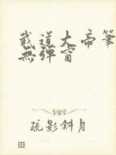 武道大帝笔趣阁无弹窗封面