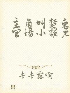 主角叫楚东恒的官场小说免费阅读封面