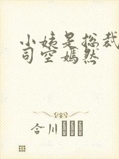 小姨是总裁叶凡司空嫣然