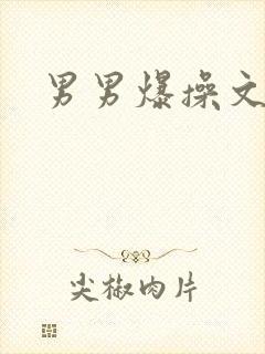 男男爆操文