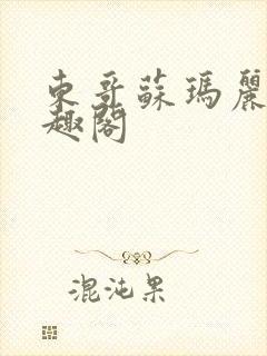 东哥苏玛丽 笔趣阁封面