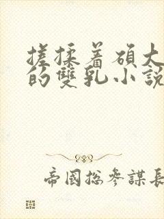 搓揉着硕大丰满的双乳小说