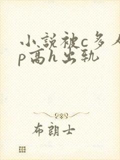 小说被c多人np高h出轨封面