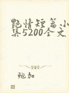 艳情短篇小说合集5200全文在线阅读