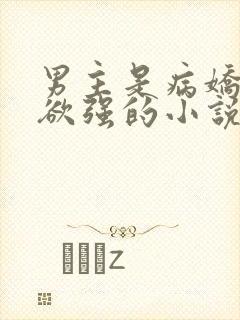 男主是病娇占有欲强的小说