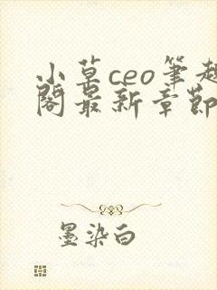 小草ceo笔趣阁最新章节封面