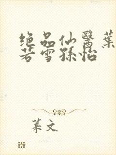 绝品仙医叶辰夏若雪孙怡