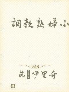 调教熟妇小说封面