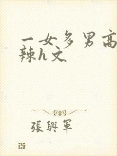 一女多男高h高辣h文