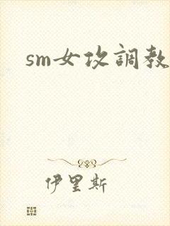 sm女攻调教文