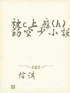 被c上瘾(h)的空少小说封面