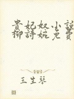 贵妃奴小说by柳诗婉免费阅读笔趣阁