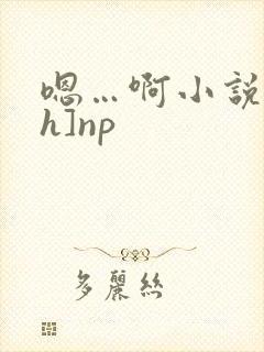 嗯…啊小说[高h]np