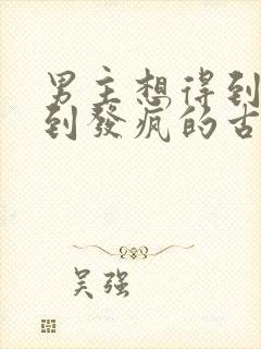 男主想得到女主到发疯的古言