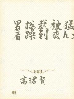 男总裁被猛男按着躁到爽h文