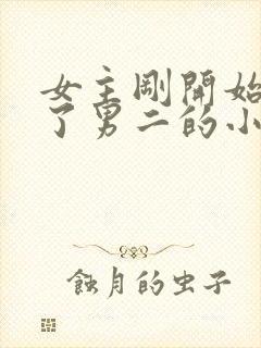 女主刚开始嫁给了男二的小说