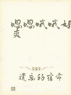 嗯嗯哦哦好大好爽封面