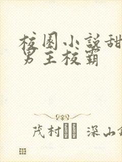 校园小说甜宠文男主校霸