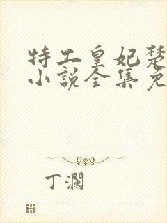 特工皇妃楚乔传小说全集免费阅读封面