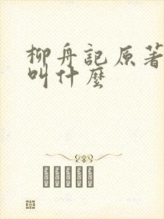 柳舟记原著小说叫什么封面