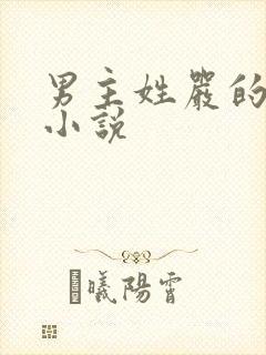 男主姓严的总裁小说