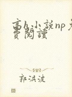 高h小说np免费阅读