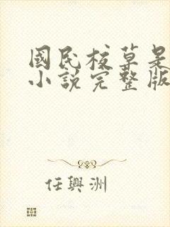 国民校草是女生小说完整版