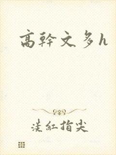 高干文多h