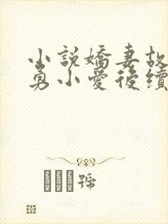 小说娇妻故事吴勇小爱后续