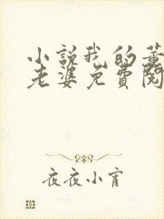 小说我的董事长老婆免费阅读