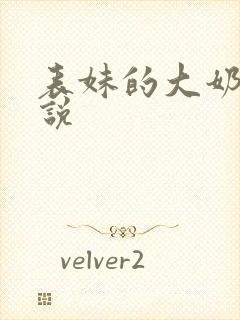 表妹的大奶子小说