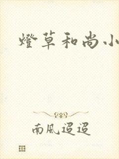 灯草和尚小说封面