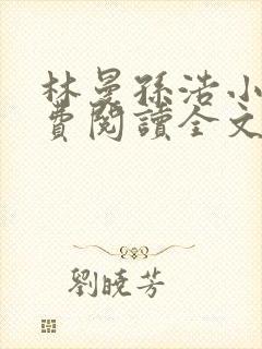 林曼孙浩小说免费阅读全文最新章节